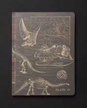 Dinosaurs Dark Matter Notebook