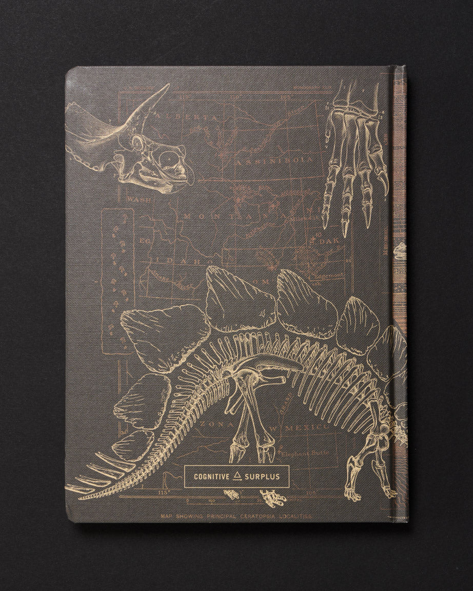 Dinosaurs Dark Matter Notebook