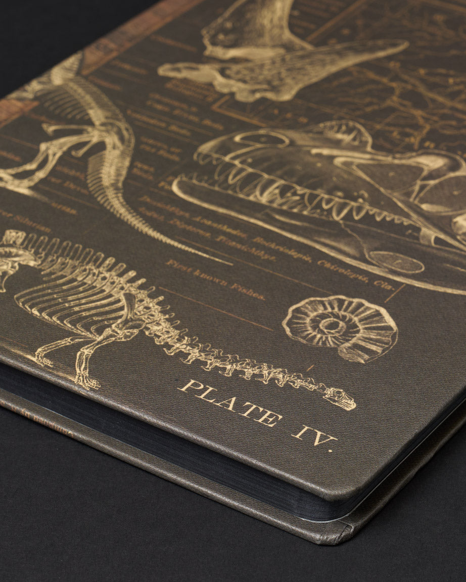 Dinosaurs Dark Matter Notebook