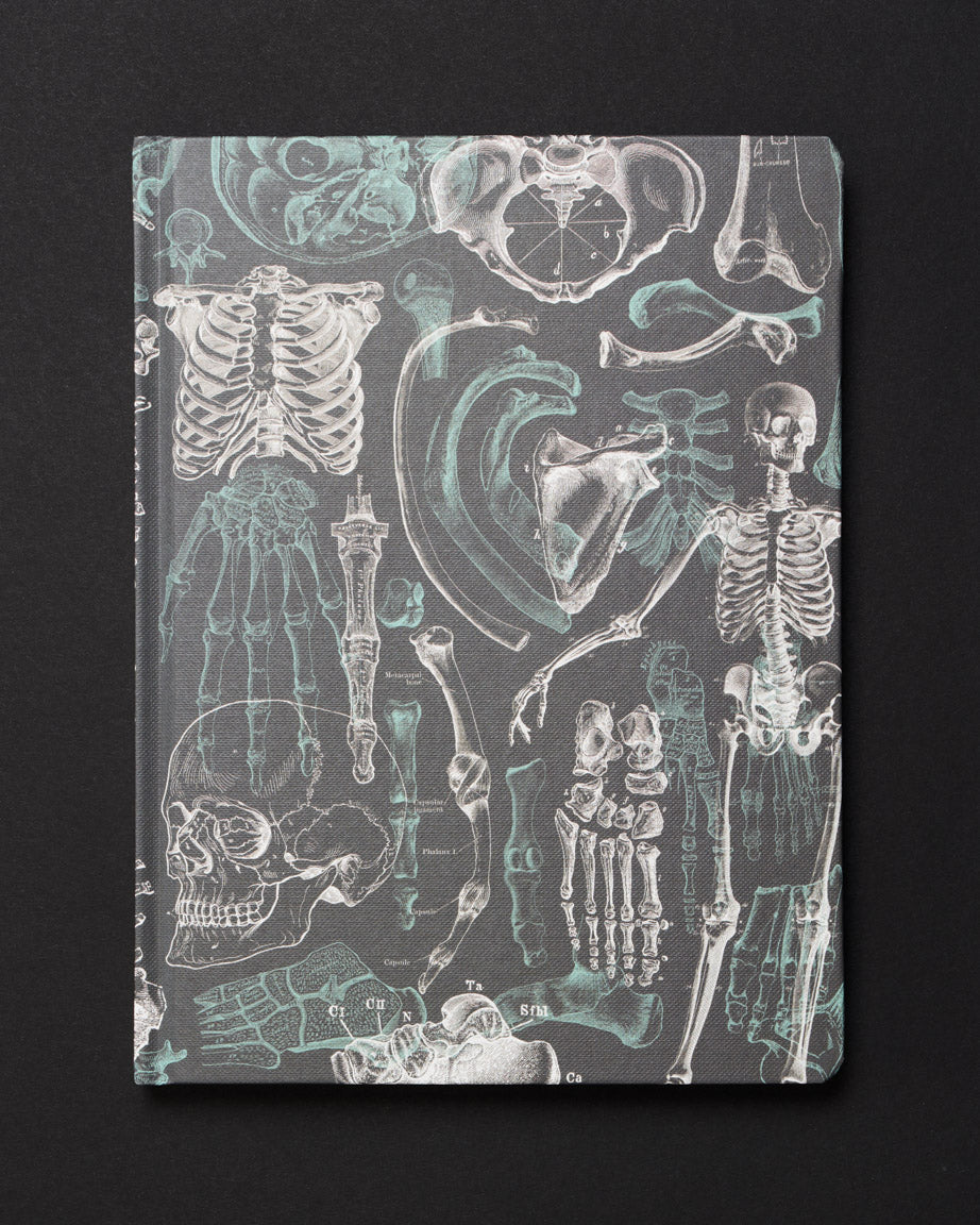 Skeleton Dark Matter Notebook