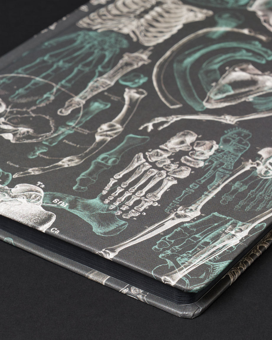 Skeleton Dark Matter Notebook