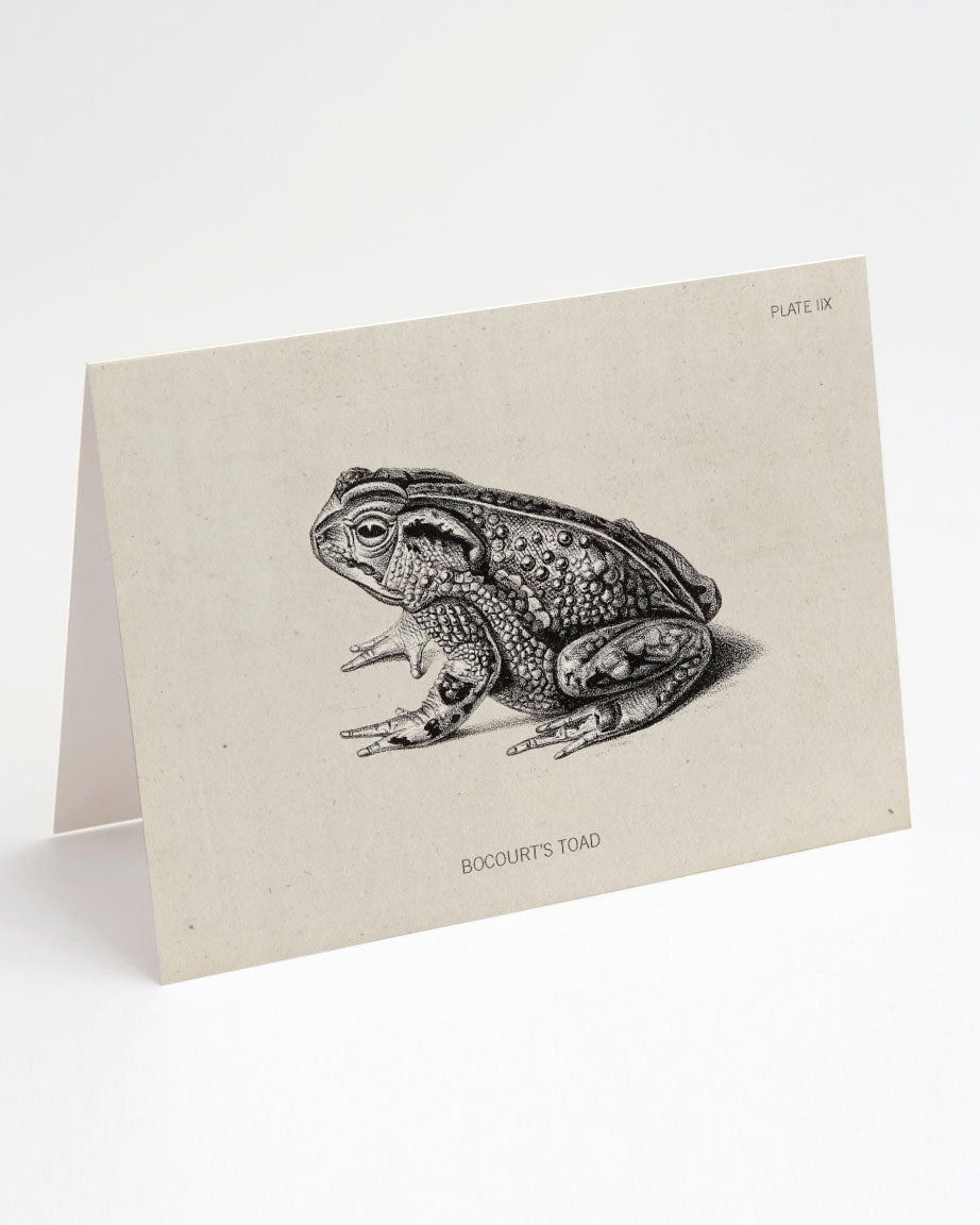 Toad Specimen Card