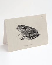 Toad Specimen Card