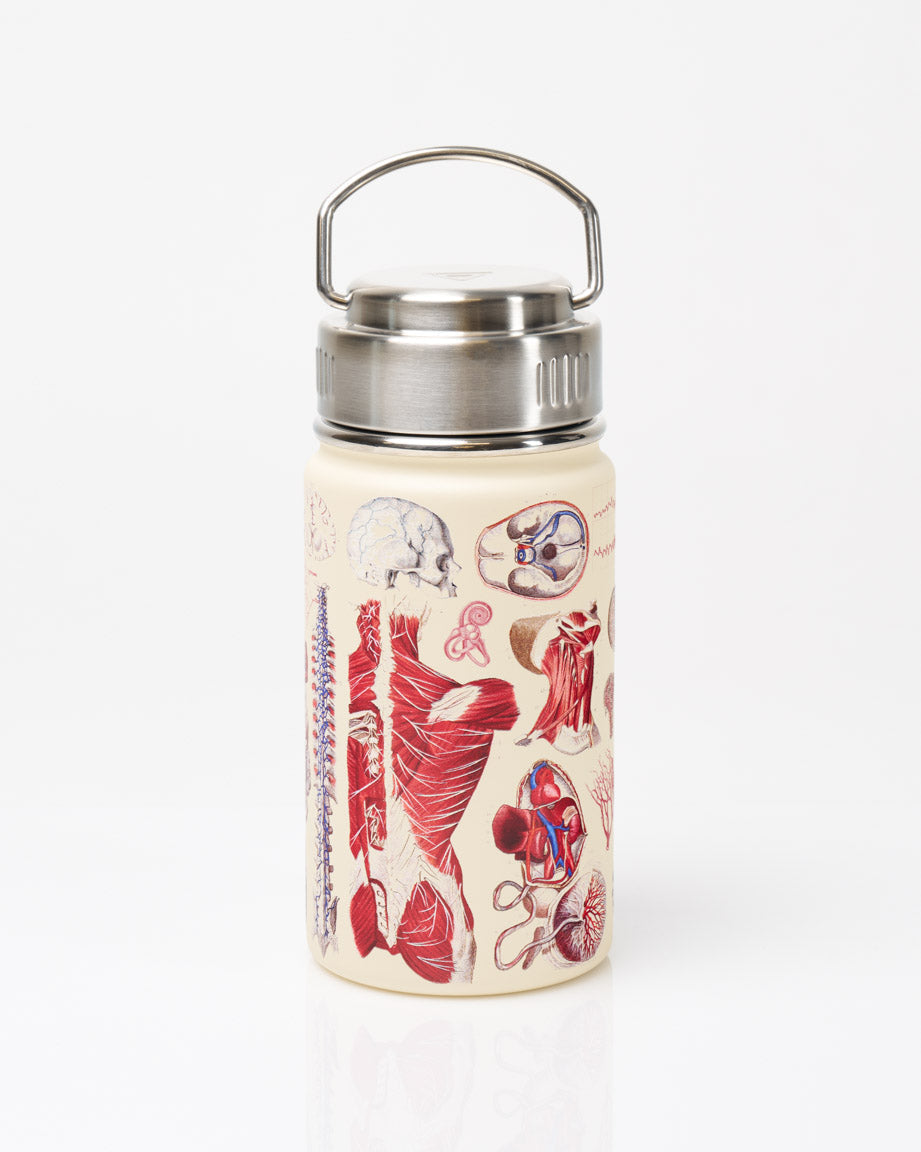 Human Anatomy 12 oz Steel Bottle