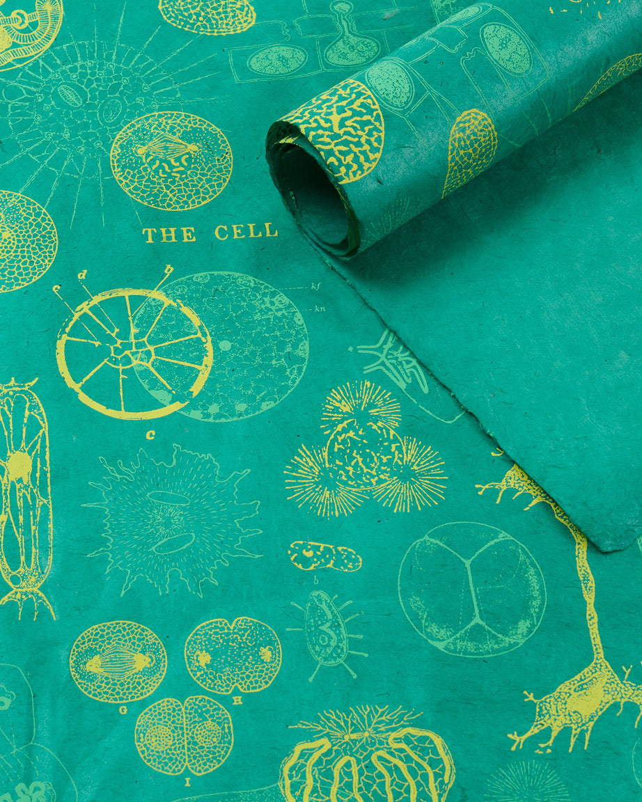 Cell Biology Wrapping Paper