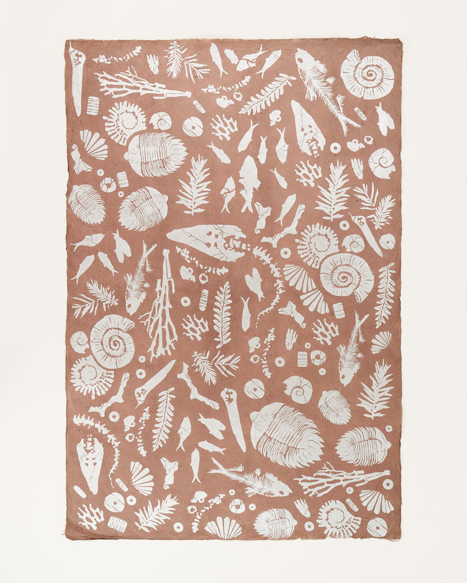 Fossils Wrapping Paper