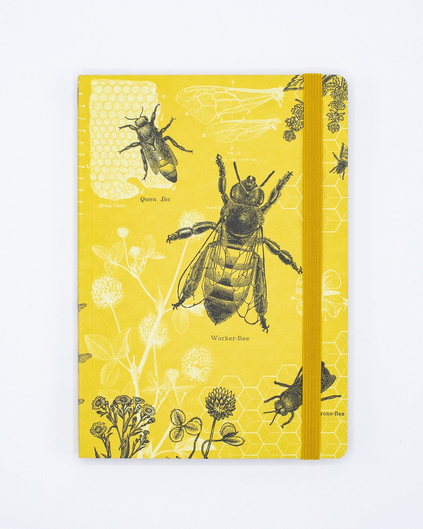 Honey Bee A5 Softcover