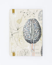 Brain A5 Softcover