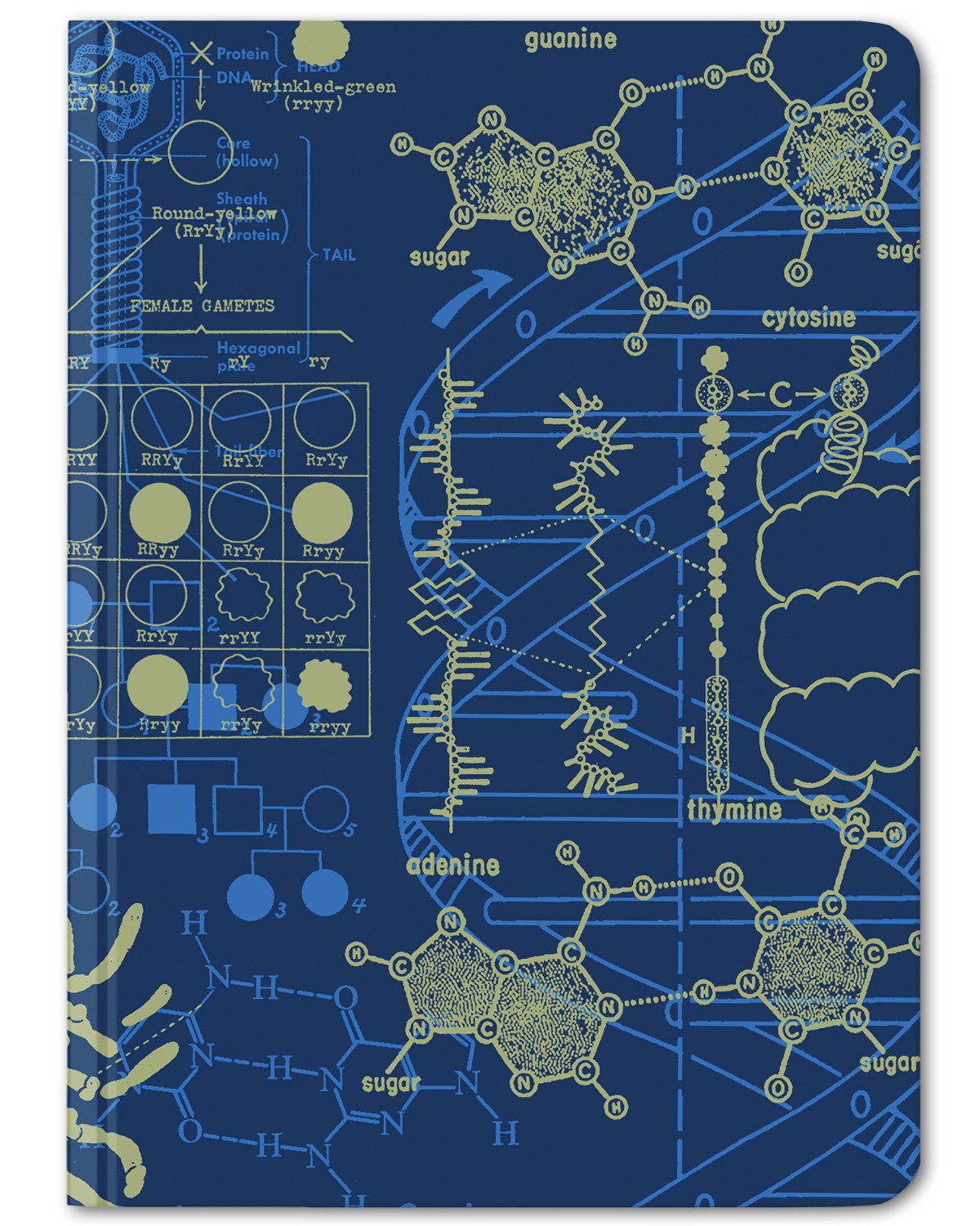 Genetics mini hardcover dot grid notebook by Cognitive Surplus, royal blue and marigold yellow, 100% recycled paper