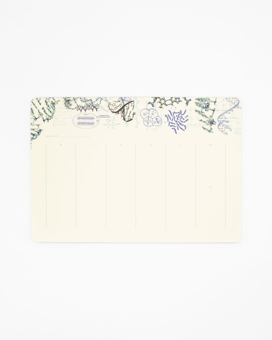 Genetics & DNA Notepads