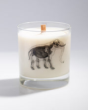 Elephant Bones Cocktail Candle