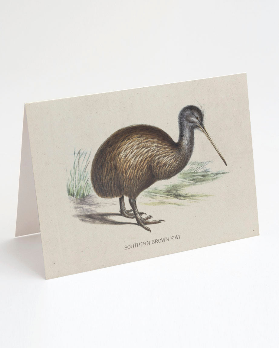 Kiwi Bird Specimen Card