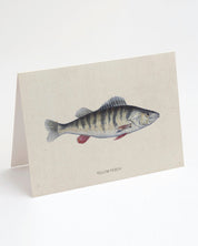 Perch Fish Specimen Card