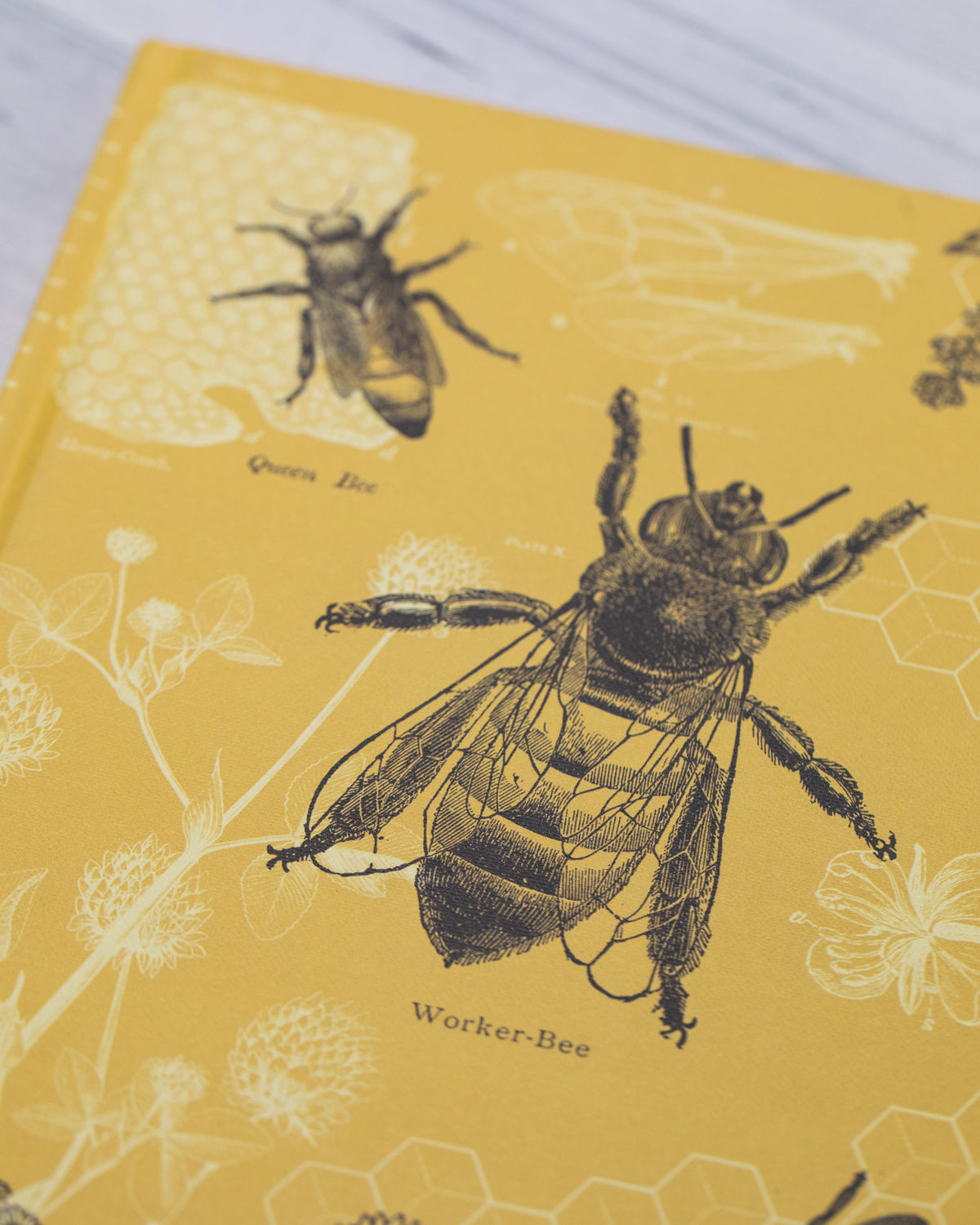 Bees Hardcover - Dot Grid