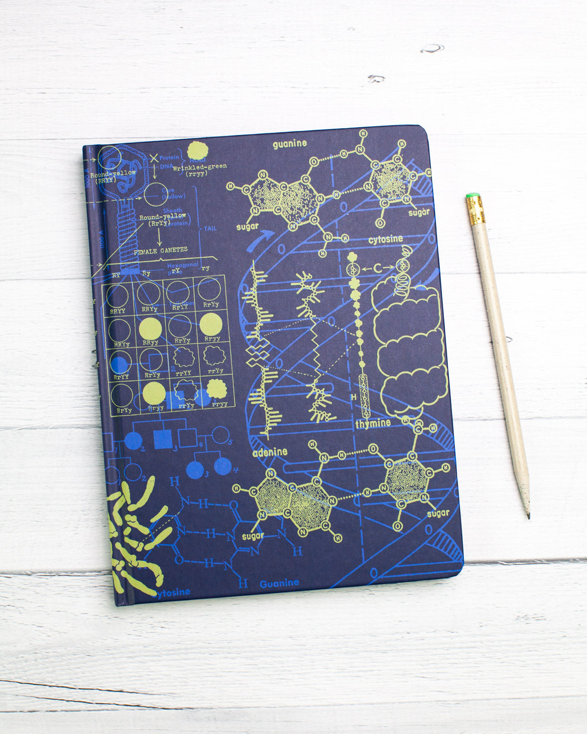 DNA hardcover recycled notebook by Cognitive Surplus