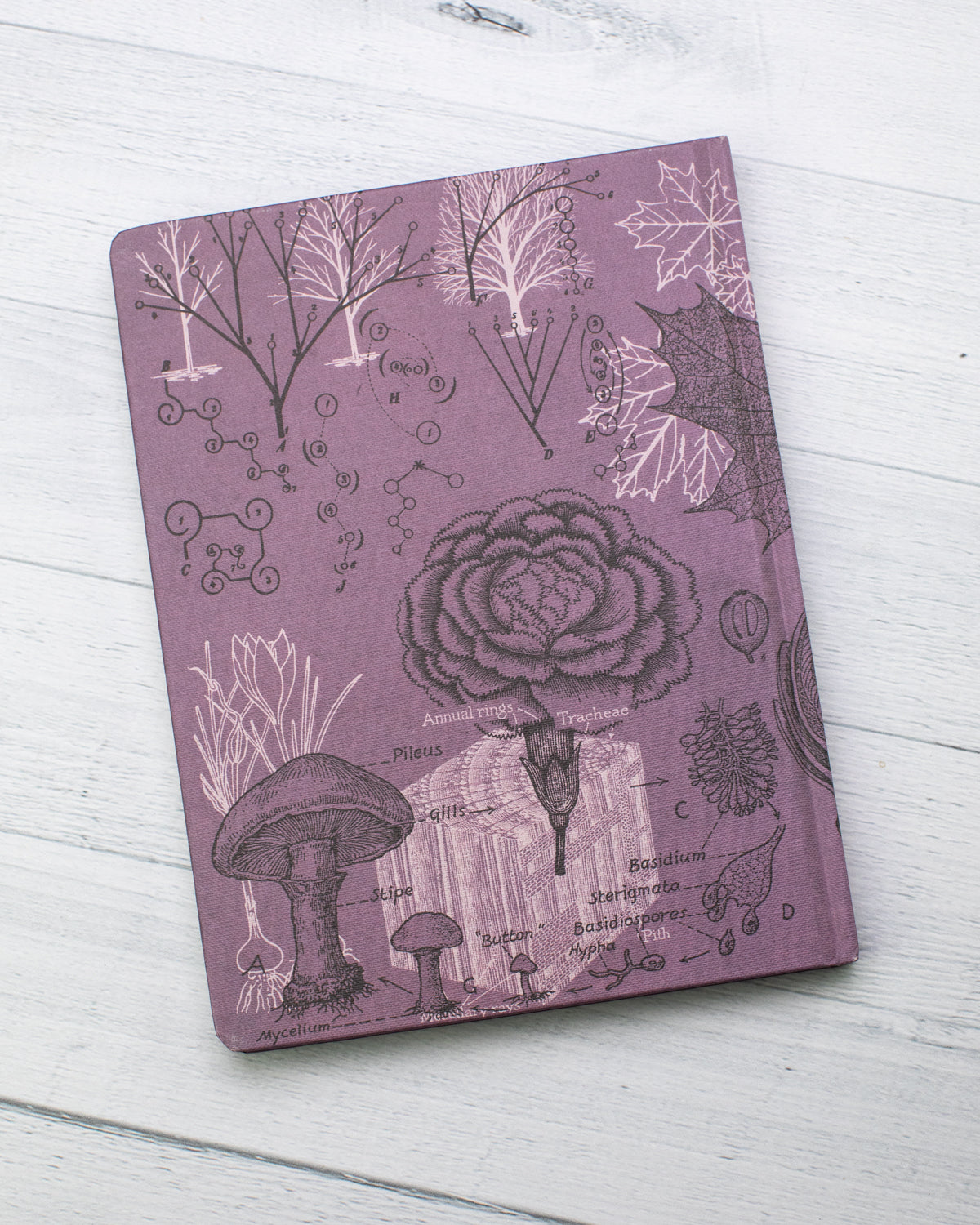 Forest at Dusk Hardcover - Lined/Grid