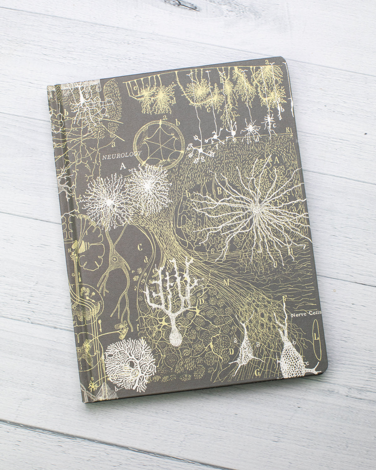 Neurons Hardcover - Lined/Grid