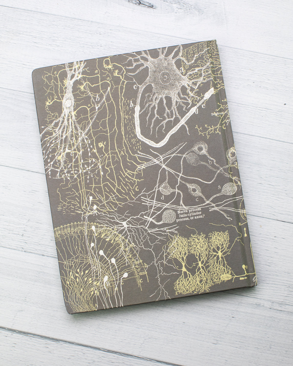 Neurons Hardcover - Lined/Grid