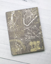 Neurons Hardcover - Lined/Grid