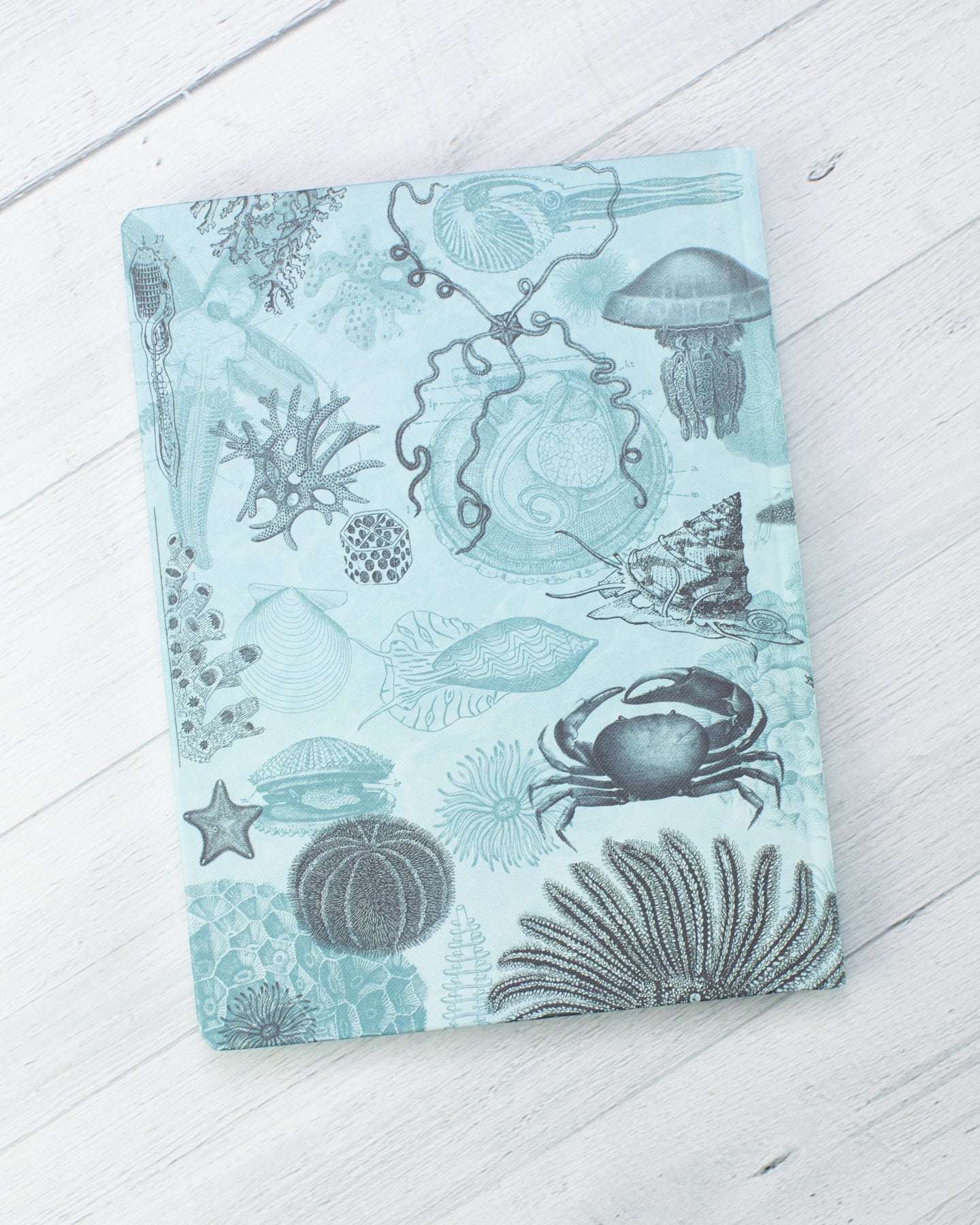 Shallow Seas Hardcover - Lined/Grid