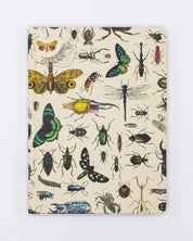 Butterflies & Beetles Hardcover - Blank