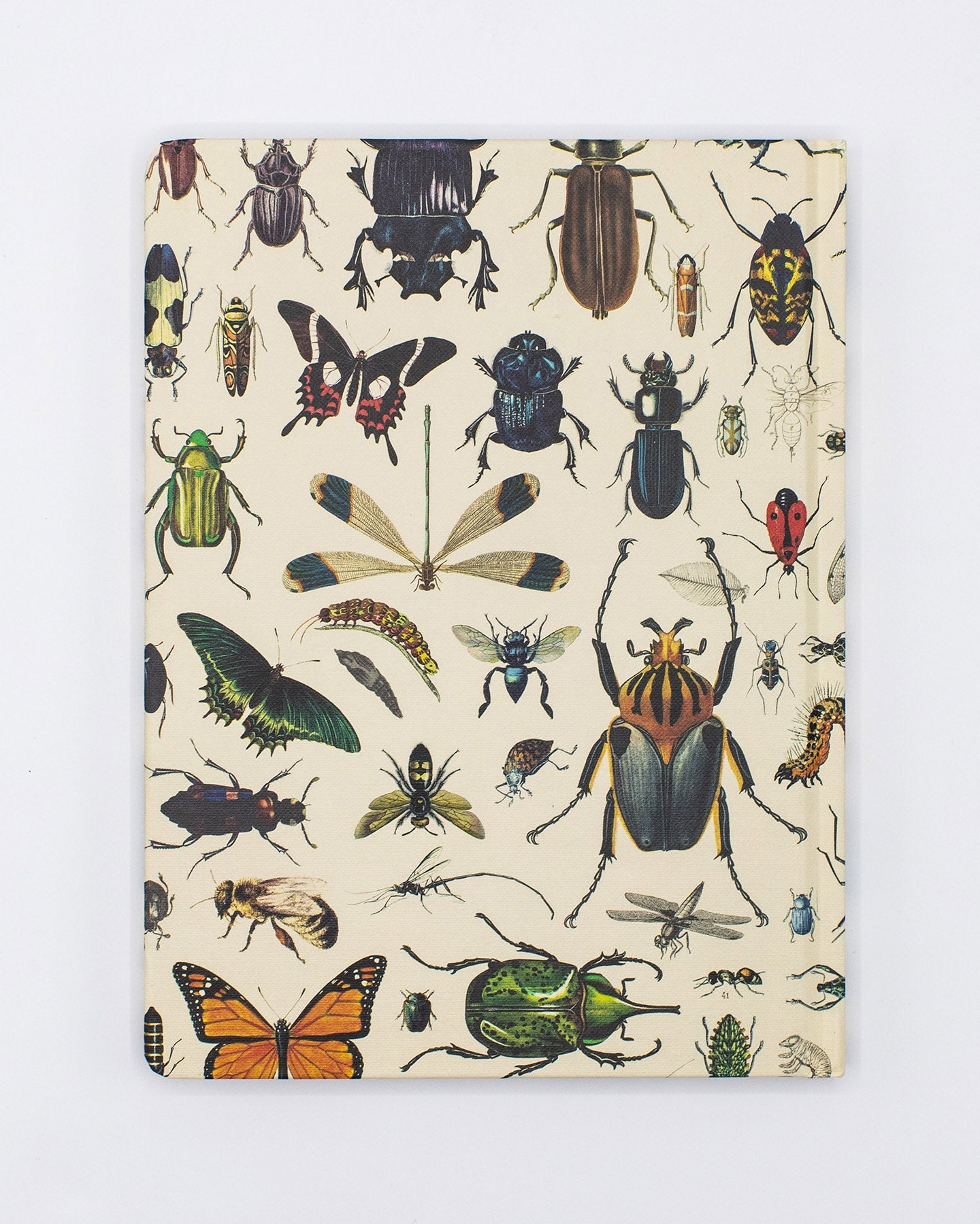 Butterflies & Beetles Hardcover - Blank