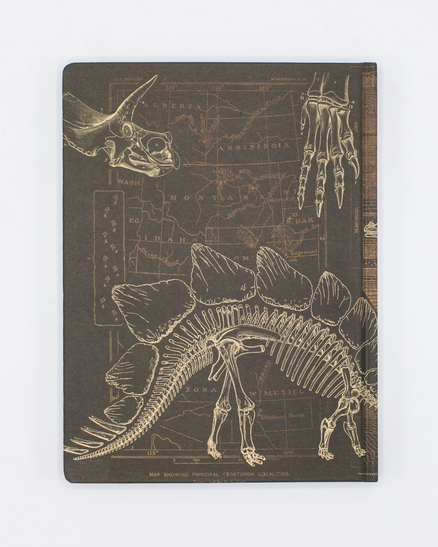 Paleontology Hardcover - Dot Grid