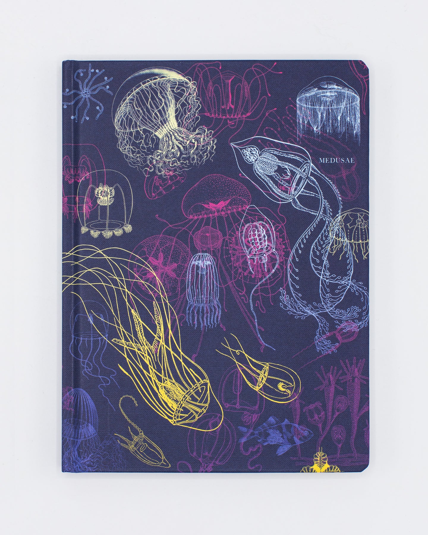 Jellyfish Hardcover - Dot Grid