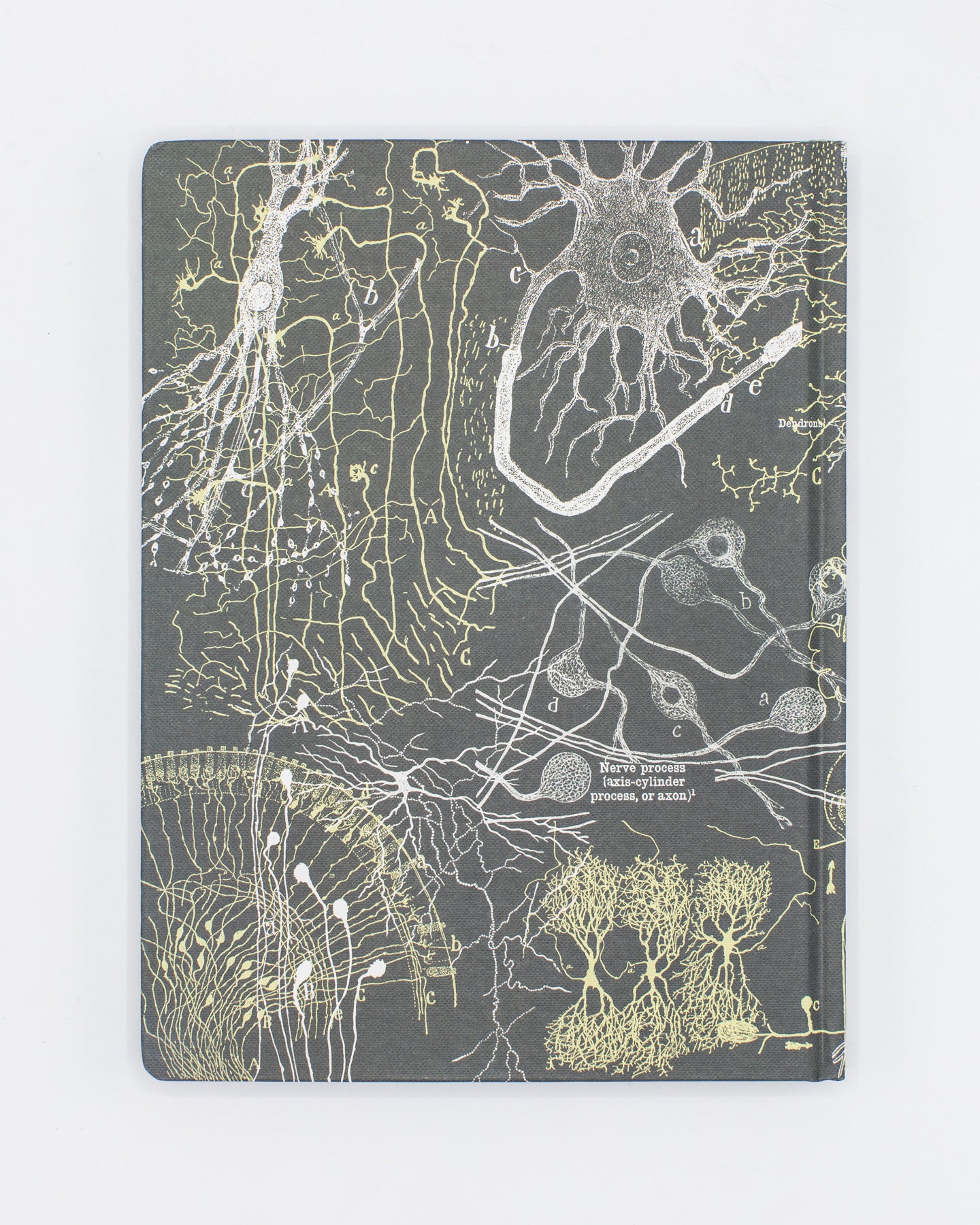 Neurons Hardcover - Lined/Grid