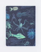 Cephalopods: Octopus & Squid Hardcover - Dot Grid