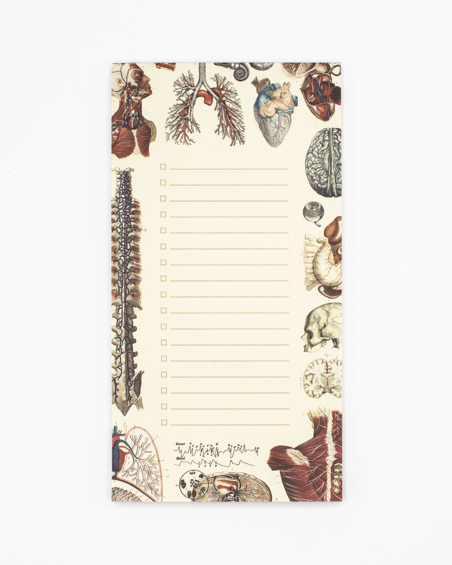 Human Anatomy Notepads