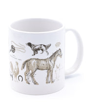 Veterinary Science 20 oz Mega Mug