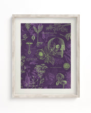 Poisonous Plants Museum Print