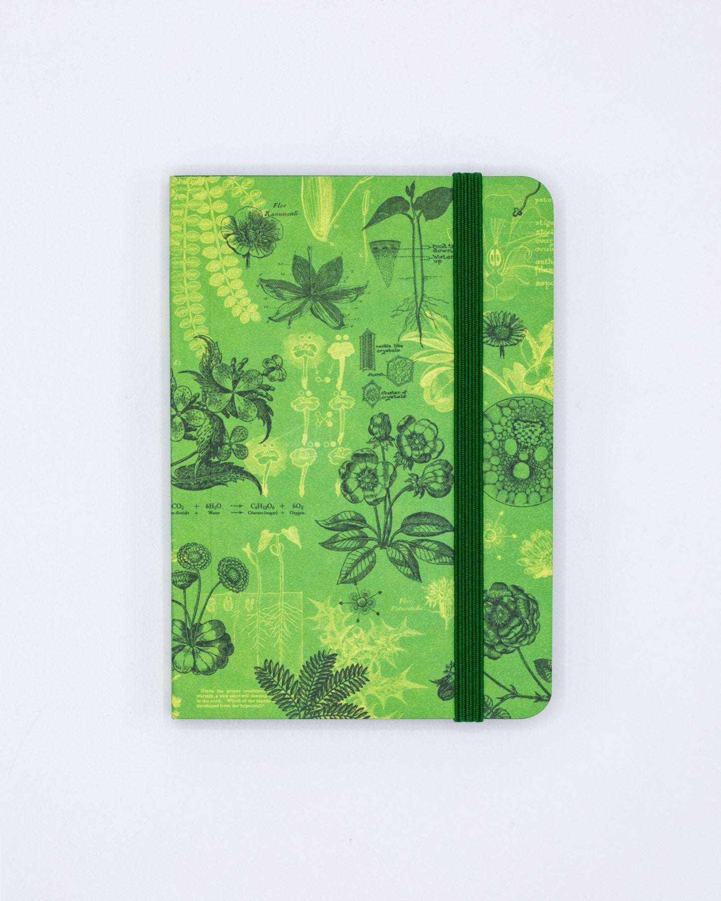 Botanical Reverie Observation Softcover