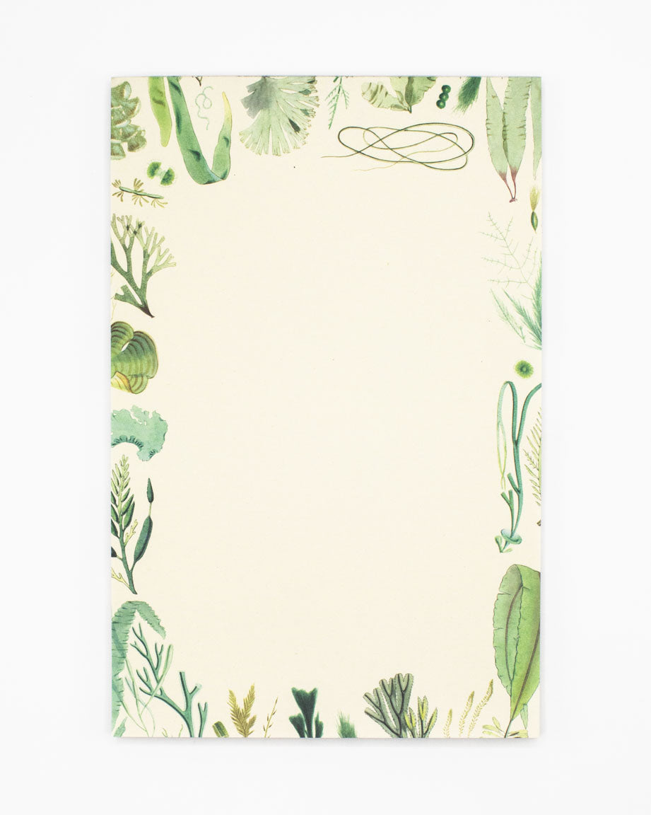 Seaweed Notepads