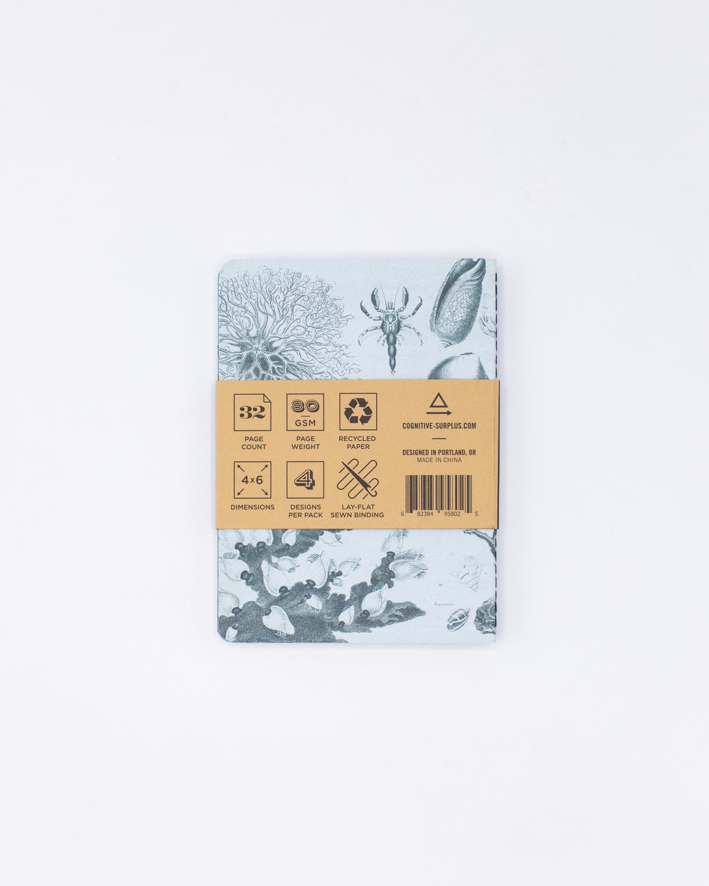 Marine Biology Notebooks 4-pack