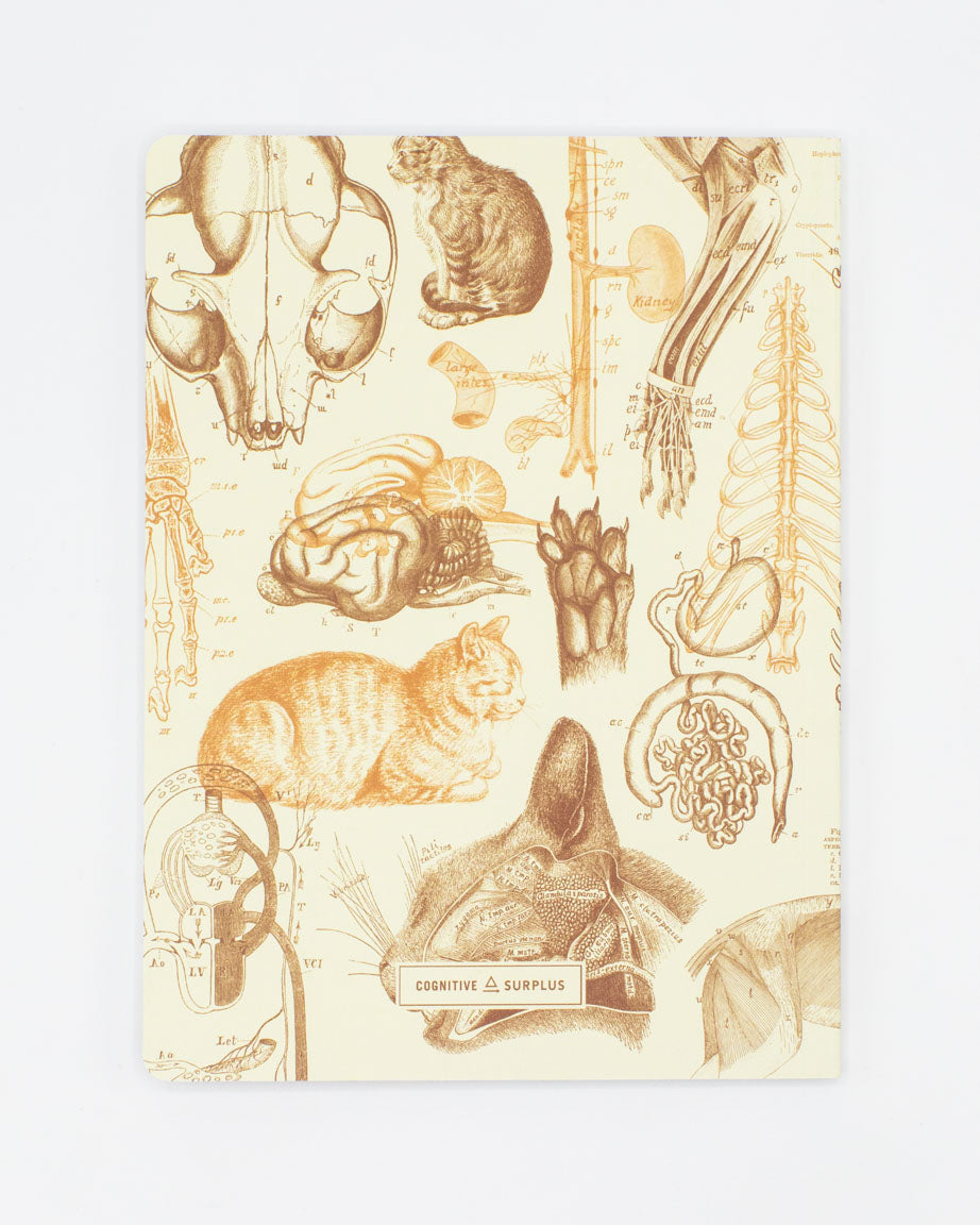 Veterinary Science: Cats Softcover Notebook - Lined