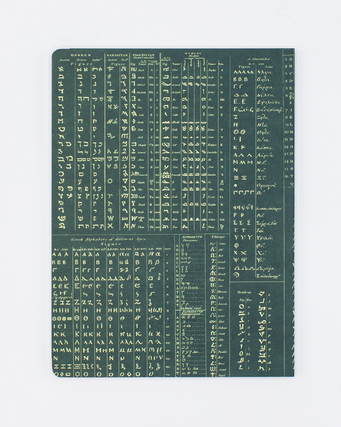 Linguistics Vintage Softcover Notebook - Lined