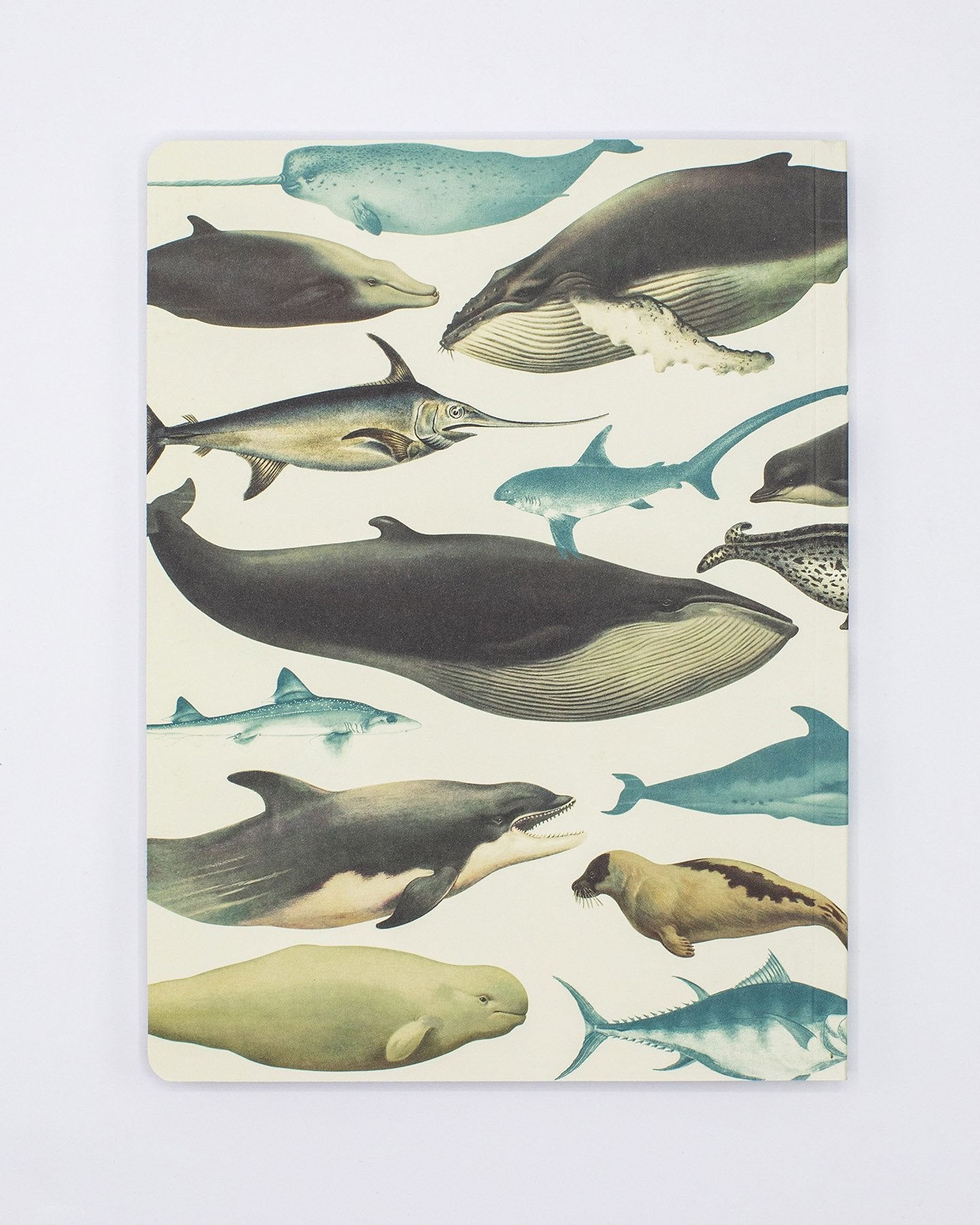 Whales & Seals Softcover - Lined