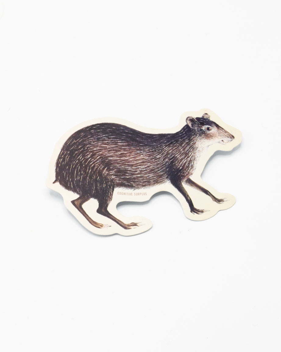 Agouti Sticker