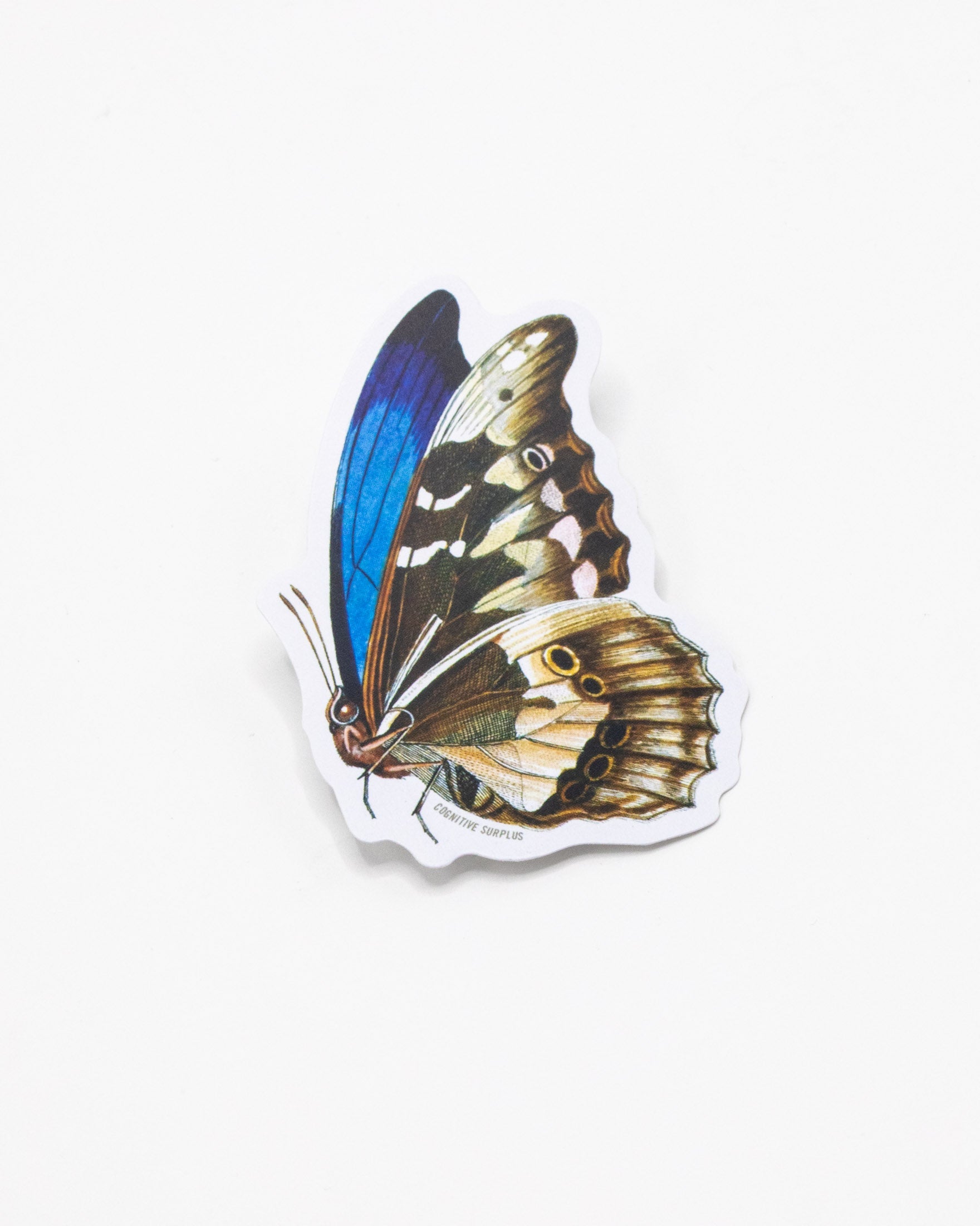 Butterfly Sticker