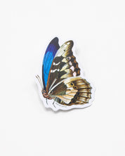 Butterfly Sticker