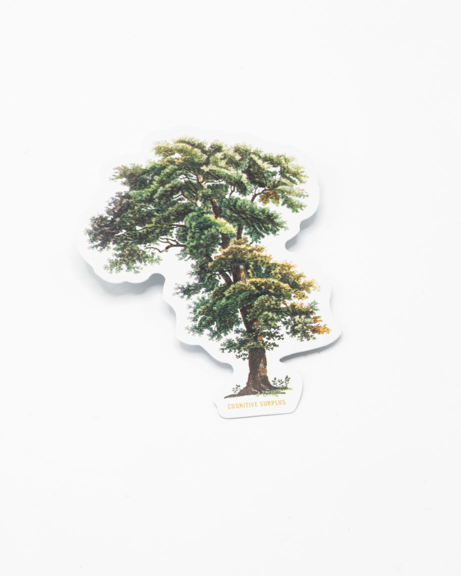 Tall Tree Sticker