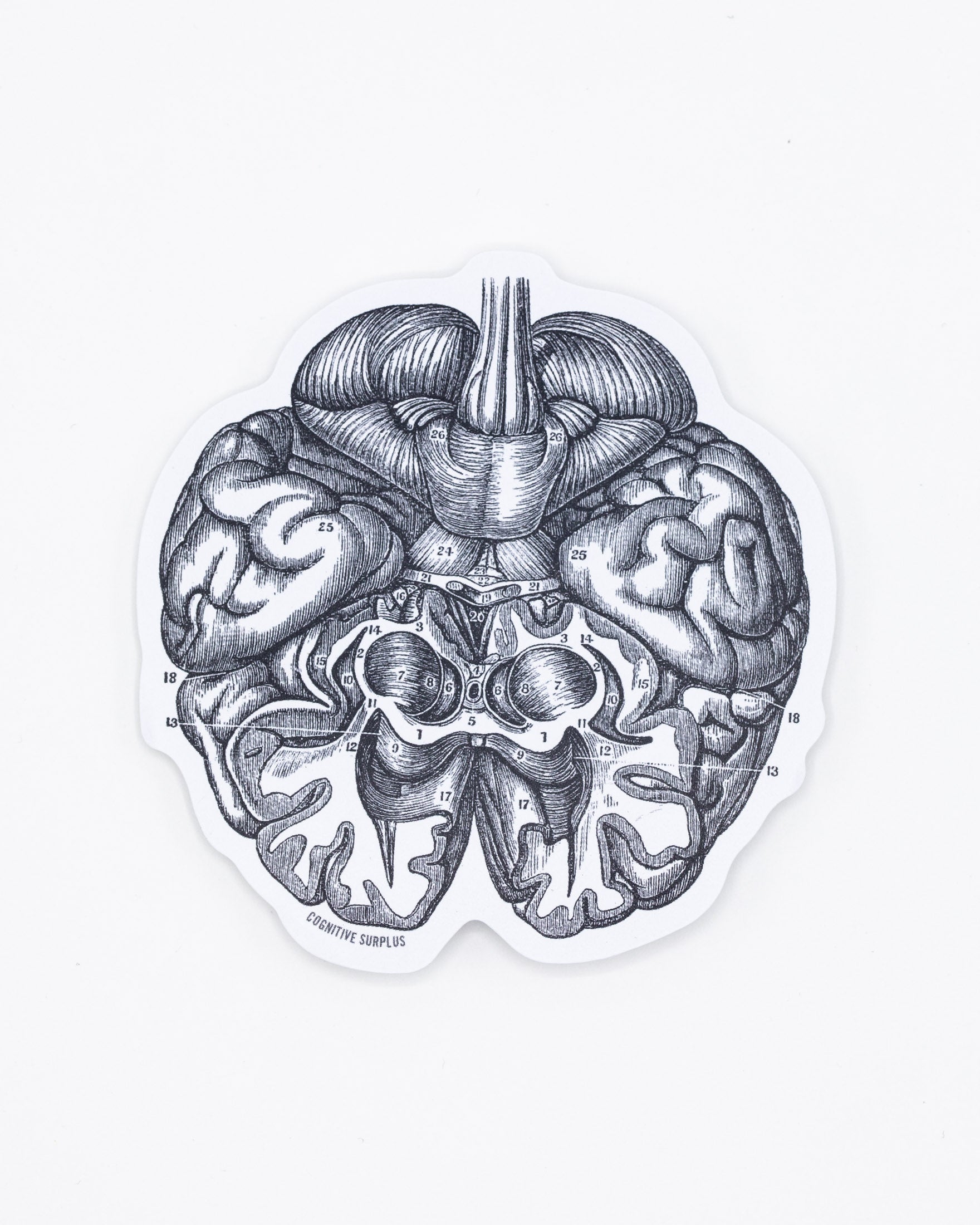 Brain Sticker