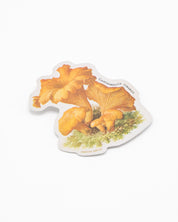 Chanterelle Mushroom Sticker