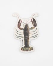 Lobster Sticker