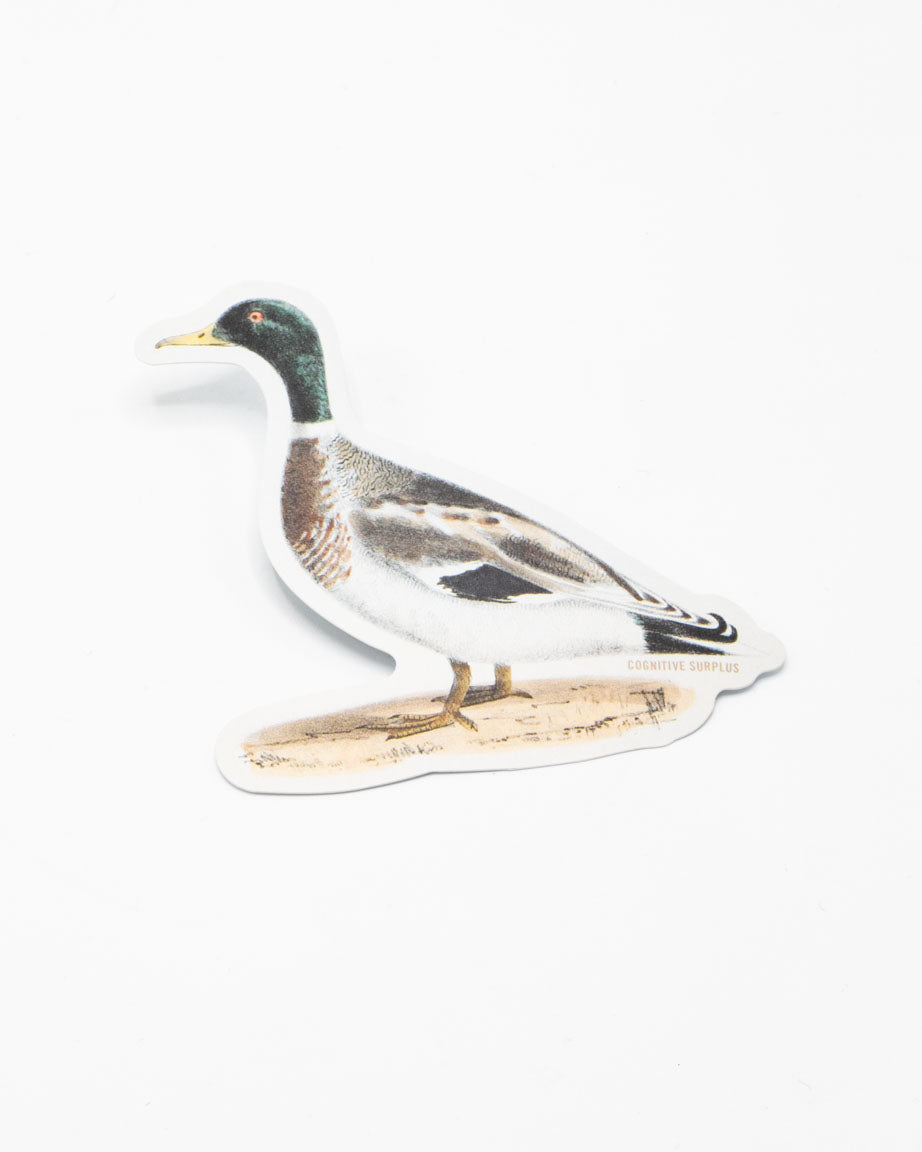 StMallard_2.jpg