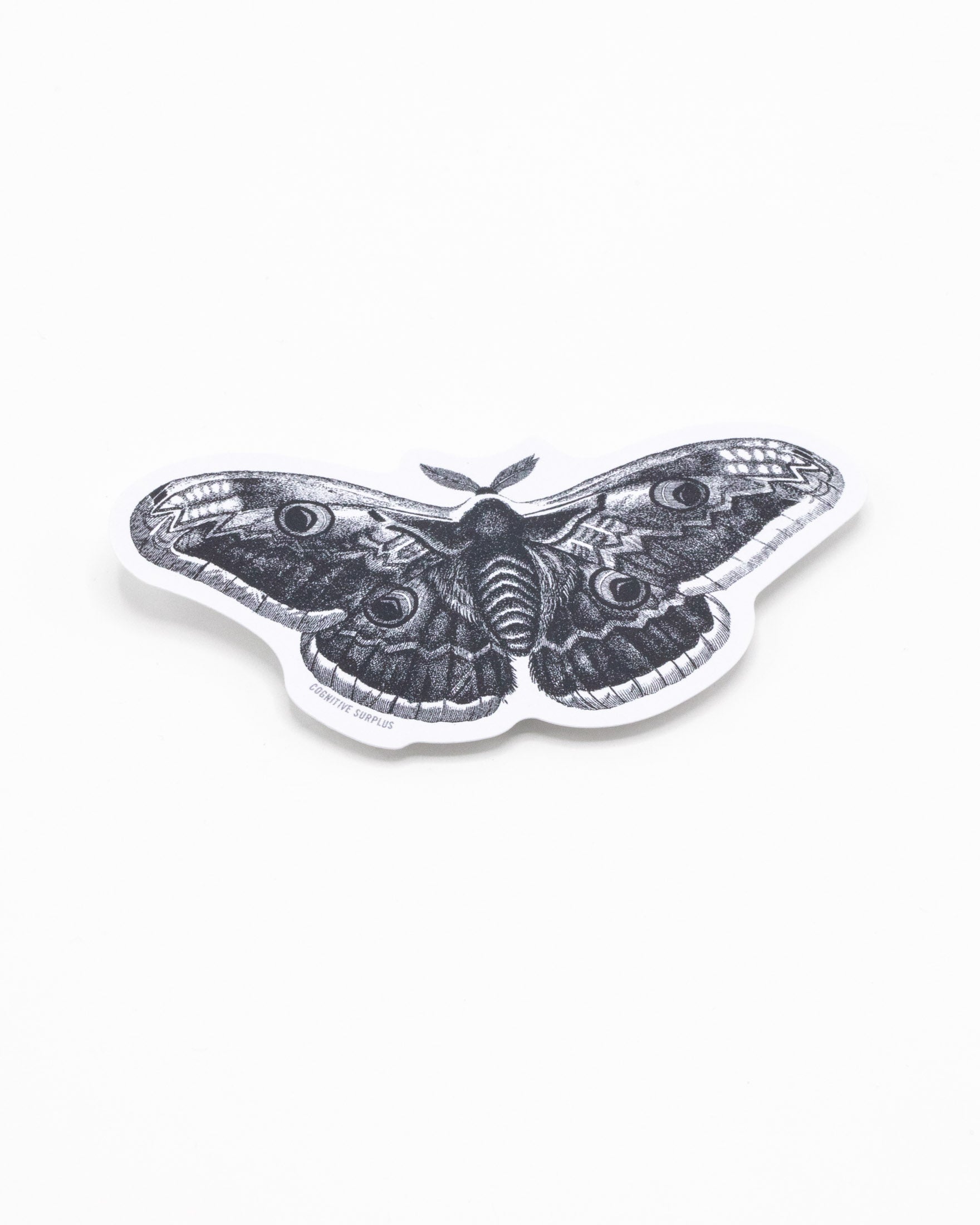 Moth Sticker