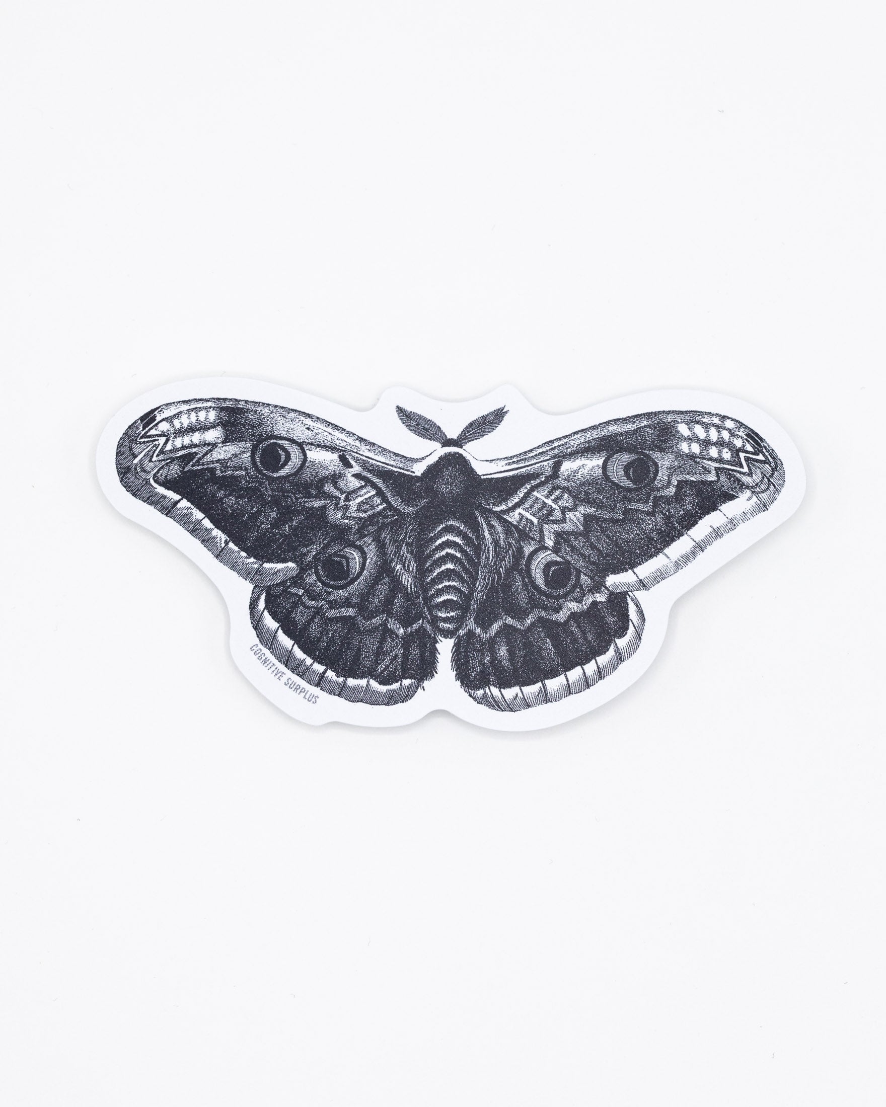 Moth Sticker