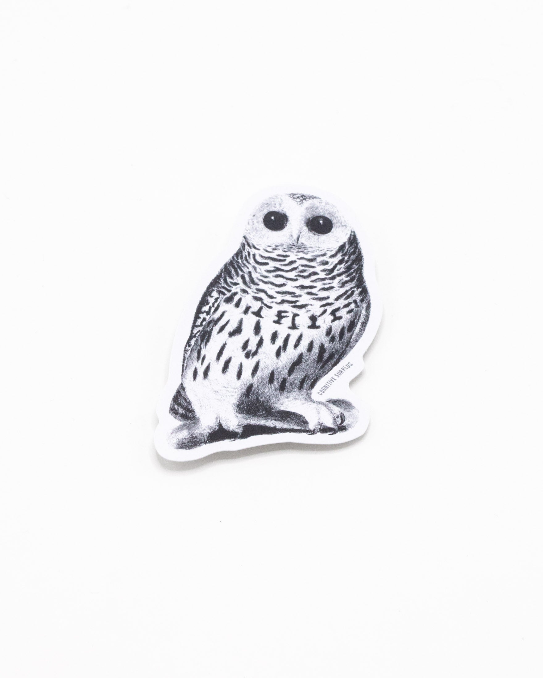 Snowy Owl Sticker